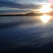 20081126170018_ifon.jpg